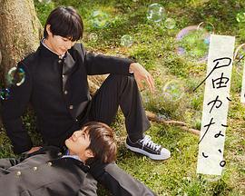 黄山seo排名哪家不错